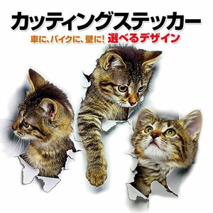 3D感のカーステッカー カッティング/ウォールステッカー インテリア トリックアート だまし絵 はがせる 3DCAT2001/下を見る猫