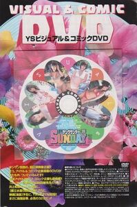 ■新品!★付録DVD【◎井上和香 森下千里 仲根かすみ 佐藤寛子 平田裕香 安倍麻美 都立水商】◇ヤングサンデー 2003■