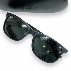 Ray-Ban レイバン サングラス 眼鏡 小物 アイウェア ファッション ブランド ケース付き ANDY アンディ RB4202F グリーン ウェリントン