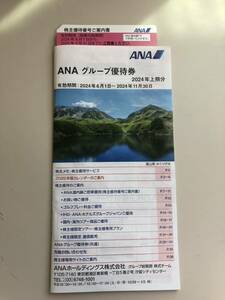 ANA 株主優待券