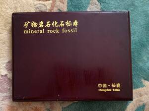 【地質標本】 天然鉱物・鉱石・岩石・化石標本25種セット 木箱入り 地学教材