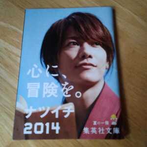 (即決)佐藤健　るろうに剣心　ナツイチ 2014