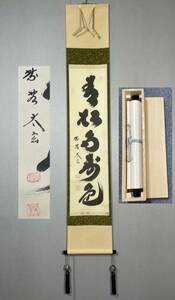 【模写】Y-826掛軸 紙本 共箱 茶掛 茶道 茶道具 華道 花道具 小林太玄 臨済宗大徳寺塔頭黄梅院『青松多寿色』