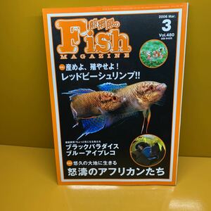 月刊 フィッシュマガジン 2006年3月 vol.480 特集 レッドビーシュリンプ　怒濤のアフリカンたち　ほか