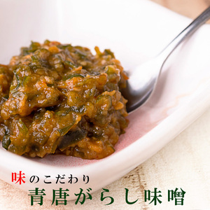 青唐がらし味噌 250g【味のこだわり 青唐辛子味噌】辛味の効いた青とうがらしを甘みのあるミソで味付けした惣菜 【メール便対応】