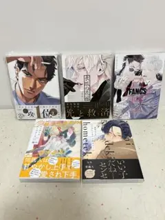 ボーイズラブ漫画5冊セット