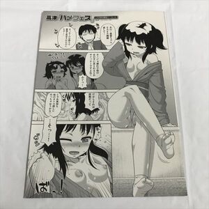 P48095 ◆ハメフェス　高津　とらのあな特典 小冊子 ★5点以上同梱で送料無料★