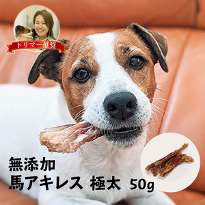 国産 馬アキレス 極太 50g 完全無添加 犬用 おやつ 歯磨き用にも ジャーキー ガム