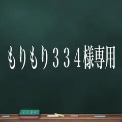 もりもり３３４様専用