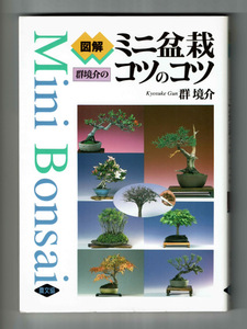 【群境介のミニ盆栽コツのコツ】長持ち・樹形・改作・鑑賞・樹種のコツ