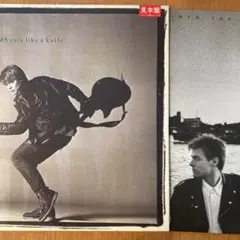 【12"LP×2】Bryan Adams