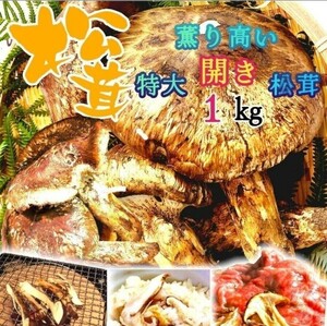 中国産 【天然 開き 松茸 1kg】3L~2L 7~16 お中元 誕生日祝 還暦祝 新築祝い 土瓶蒸し 