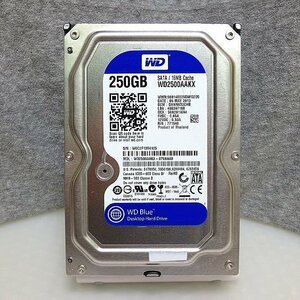 HD4643★WesternDigital★3.5インチHDD★250GB★WD2500AAKX★即決！