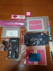 E-girls Tポイント 懸賞当選品 まとめて 楓サイン入り 2017年 数量限定 貴重品 お宝品 カレンダー2セット