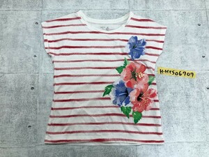 GAP KIDS ギャップキッズ ボーダー ハイビスカスプリント 半袖Tシャツ