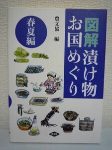 図解 漬け物お国めぐり 春夏編 ★ 農山漁村文化協会 ◆ 野菜 手作り おいしくて安価で安全な手作り漬け物の手引き 『現代農業』連載