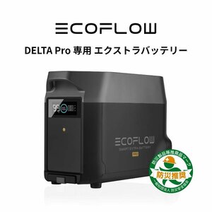 美品 防災応援 EcoFlowメーカー直売 ポータブル電源 DELTA Pro 専用バッテリーパック キャンプ 車中泊 工事不要 アウトドア