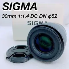 シグマ　単焦点レンズ　30mm 1:1.4 DC DN αEマウント SIGMA