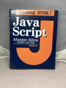 Java Script マスターバイブル　川崎克己著