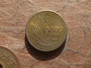 トルコ　5000Lira　黄銅　1995年　KM#1029　(19.6mm, 6.0g)