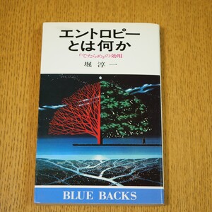 エントロピーとは何か　「でたらめ」の効用　堀純一　ブルーバックス　送料無料