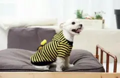 L ストライプ 蜂 フード Tシャツ 犬服 コスチューム