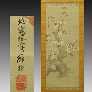 【真作】喜聞◆『桜花図(塩竃桜図)』　1幅 古筆 古文書 古書 日本画 江戸絵画 本草画 春花図 中国絵画 茶道 茶掛軸 美術資料 宮城 江戸後期