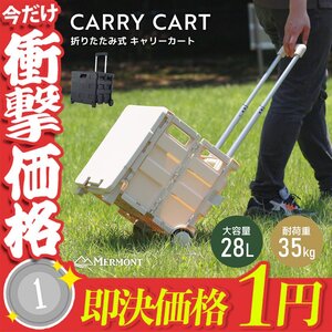 【1円】キャリーカート 折りたたみ 階段 ワゴン 台車 ショッピングカート 容量28L 大容量 耐荷重35kg キャスター付 フタ付 アウトドア 台車