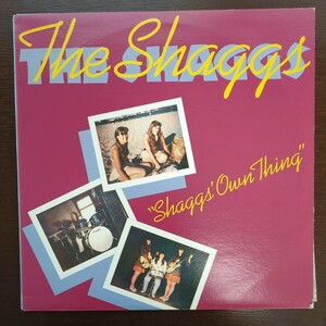 the shaggs shaggs