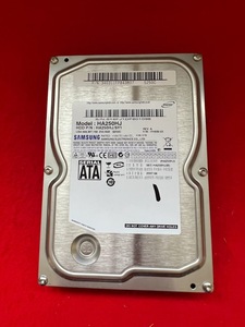 動作確認　ハードディスク SAMSUNG HA250HJ 250GB HDD（レコーダー DV-AC72から外し）(A066)