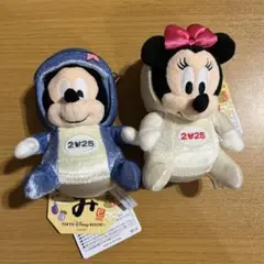 ディズニー ぬいぐるみバッジ ミッキー & ミニー 干支 巳