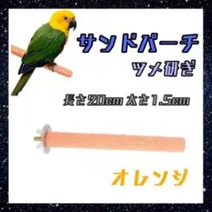 サンドパーチ　20㎝　オレンジ　鳥　小鳥　爪とぎ　くちばし研ぎ　止まり木　インコ