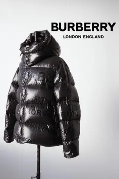 BURBERRY バーバリー ホースフェリー ダウン ジャケット