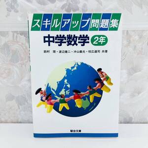 【絶版・超希少】 スキルアップ問題集 中学数学2年 鈴木理 渡辺健二 沖山義光 枝広達司 駿台文庫