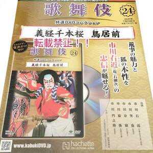 シュリンク未開封☆歌舞伎 特選DVDコレクション 24号★義経千本桜　鳥居前★市川右近★市川笑也★市川寿猿★市川猿弥★市川門之助★