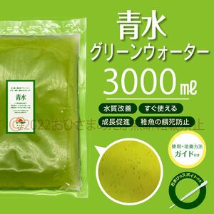 簡単便利【青水　グリーンウォーター　3000ml】メダカ　めだか　金魚　熱帯魚　ミジンコ　ゾウリムシ　PSB　針子にどうぞ　スポイト付き