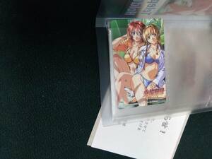 中古■未使用■テレカ■テレホンカード■秋村湖希 / 華竜院巴■「火焔聖母 -The Virgin on Megiddo- [ホルダー付き]」■定形外発送対応