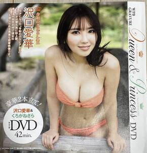 プレイボーイ DVD付録　沢口愛華