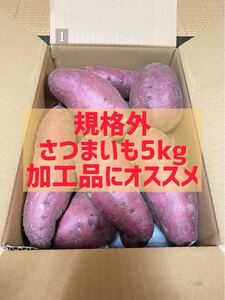 【規格外】さつまいも5kg 加工品にオススメ