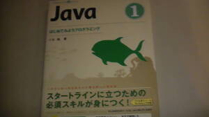 Java　始めてみようプログラミング　CD付き　送料無料