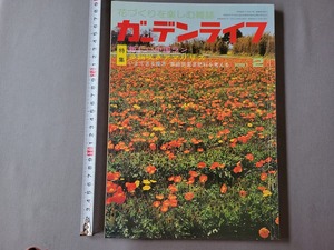 1981年2月号 ガーデンライフ 特集・新しい中国ラン/多輪咲きアマリリス 他　誠文堂新光社　雑誌　園芸　/E