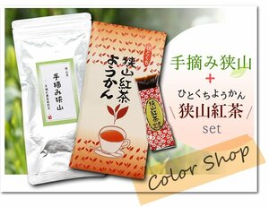 ●〔 送料無料 〕 手摘み狭山～手摘み最高級煎茶～（100g）+狭山茶 紅茶ようかん / Tea sweets ※ネコポス