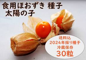 食用ほおずき「太陽の子」種子30粒 ワンコイン500円 