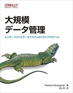 [A12318461]大規模データ管理 ―エンタープライズアーキテクチャのベストプラクティス