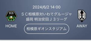 2024/6/2 14:00 ＳＣ相模原対いわてグルージャ盛岡 相模原ギオンスタジアム バックスタンド自由席大人１名様