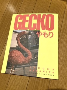 Gecko やもり 中平卓馬 ホンマタカシ Takuma Nakahira 杉本博司 寺山修司 森山大道 高梨豊 細江英公 荒木経惟 Araki Nobuyoshi 東松照明