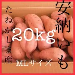 安納いも 20kg MLサイズ 本場種子島産安納芋さつまいも