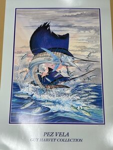 Guy Harvey PEZ VELA ガイ ハーベイ コレクション ポスター