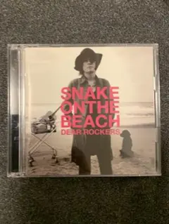 DEAR ROCKERS チバユウスケ