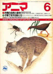 （月刊誌）　アニマ（野生からの声）　1986年6月（160号）　特集他：　沖縄の自然と動物、子育てをする魚たち、パンダ誕生　平凡社